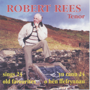 ดาวน์โหลดและฟังเพลง Soldier's Dream พร้อมเนื้อเพลงจาก Robert Rees