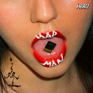 อัลบัม 疯子 ศิลปิน The Hertz