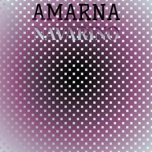 Various的专辑Amarna Navarino