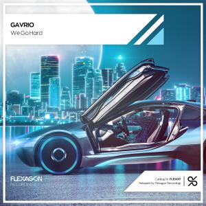 Listen to We Go Hard song with lyrics from Gavrio