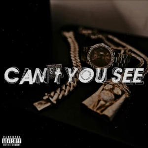 Mike Nitty的專輯Can't You See (Explicit)