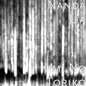 收听Nanda Lia的Kimi No Toriko歌词歌曲