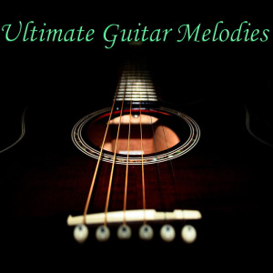 Listen to Hotel California (Acoustic) song with lyrics from Wildlife