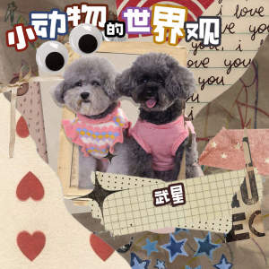 Listen to 小动物的世界观 song with lyrics from 武星