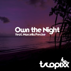 ดาวน์โหลดและฟังเพลง Own the Night พร้อมเนื้อเพลงจาก Tropixx