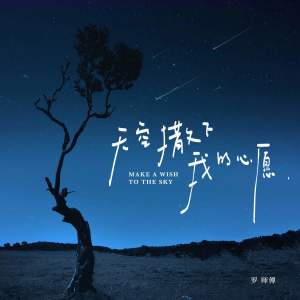 Listen to 天空撒下我的心愿 (伴奏) song with lyrics from 罗师傅