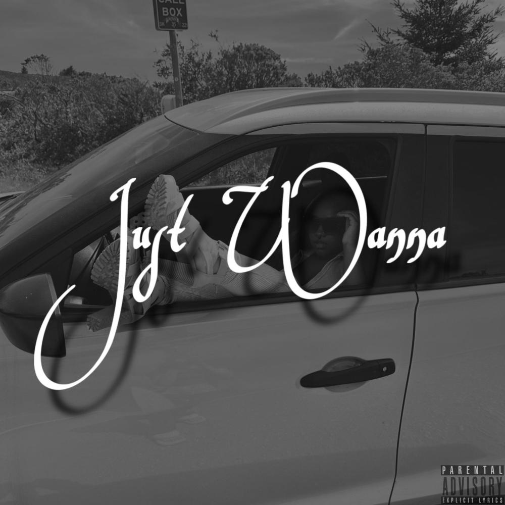 Just Wanna (Explicit)
