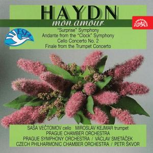 ดาวน์โหลดและฟังเพลง Concerto for Trumpet and Orchestra in E-Flat Major, H. VIIe/1 - I. Finale - Allegro พร้อมเนื้อเพลงจาก Czech Philharmonic Chamber Orchestra