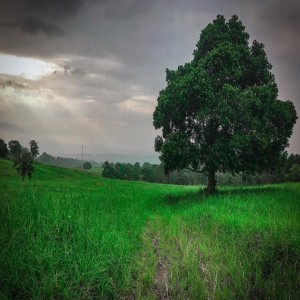 ดาวน์โหลดและฟังเพลง Indah Pada Waktunya พร้อมเนื้อเพลงจาก elisapriani