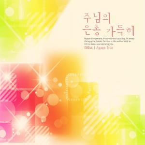 Listen to A Heart Of Gratitude song with lyrics from Pamos