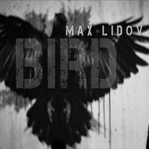 收聽Max Lidov的Bird歌詞歌曲