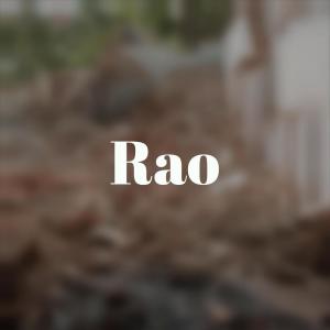 Album Rao from Various