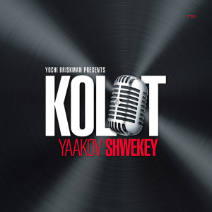 Listen to Assara Bnei Adam song with lyrics from Yaakov Shwekey