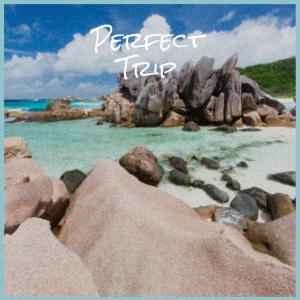 Album Perfect Trip from Various