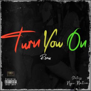 Statizz的专辑Turn You On 2 (feat. Nyce Nation) [Remix]
