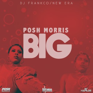 ดาวน์โหลดและฟังเพลง Big (Explicit) พร้อมเนื้อเพลงจาก Posh Morris