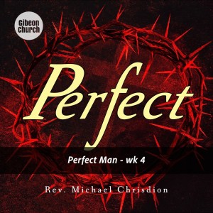 Dengarkan Perfect - Perfect Man lagu dari Rev. Michael Chrisdion dengan lirik
