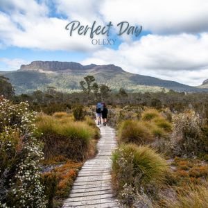 ดาวน์โหลดและฟังเพลง Perfect Day พร้อมเนื้อเพลงจาก Olexy