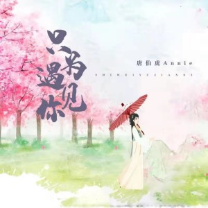 收聽唐伯虎的只爲遇見你歌詞歌曲