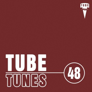 Various Artists的專輯Tube Tunes, Vol.48