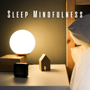 Inside Rest的專輯Sleep Mindfulness: Melodic Rest with Chill Music