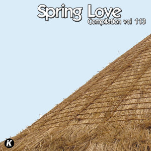 Various的專輯SPRING LOVE COMPILATION VOL 113