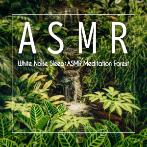 Listen to 流水声 song with lyrics from 贵族音乐ASMR