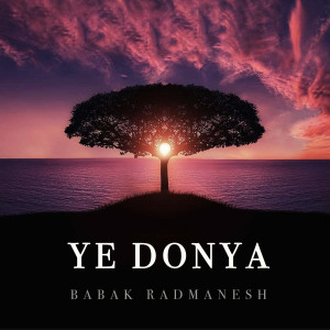 Listen to Ye Donya song with lyrics from Babak Radmanesh
