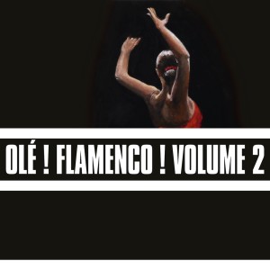 收听Nina De Los Peines的Fandangos歌词歌曲