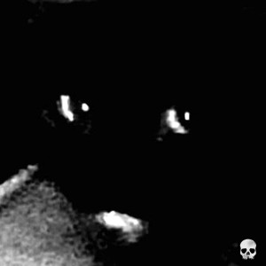 Dengarkan Guitar Cat 2001 - The Ballad of Joseph and Jessica lagu dari Boneymean dengan lirik