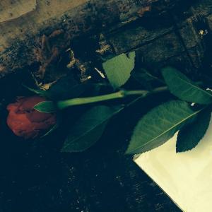 Dengarkan Kujutelm lagu dari Stade dengan lirik