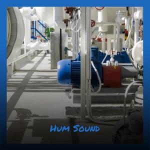 Various的专辑Hum Sound