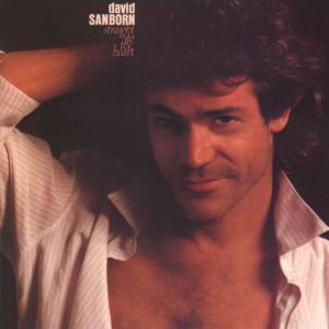 收聽David Sanborn的Straight to the Heart (Live)歌詞歌曲