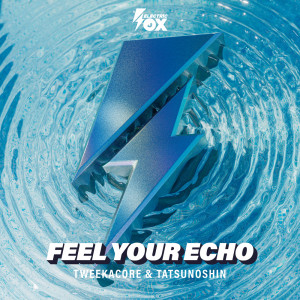 Tweekacore的專輯Feel Your Echo