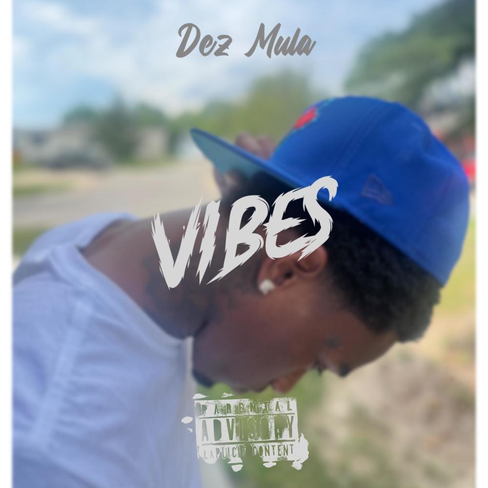 Vibes (Explicit)