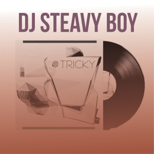 收听DJ Steavy Boy的Tricky歌词歌曲
