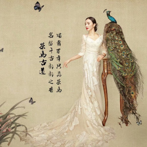 孔譯晗的專輯茶馬古道
