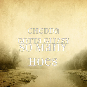 Album So Many Hoes (Explicit) from Chedda Gotta Glizzy