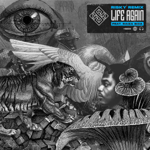 Album Life Again (Risky Remix) from Raiza Biza