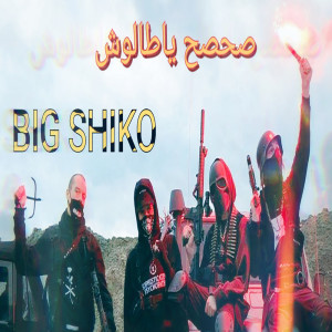 收聽بيج شيكو的صحصح ياطالوش歌詞歌曲