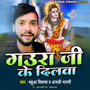 收聽Babua Vikash的Gaura Ji Ke Dilava歌詞歌曲