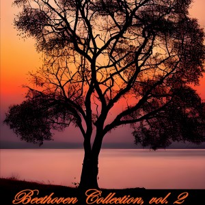 Listen to II. Larghetto song with lyrics from The BBC Symphony Orchestra