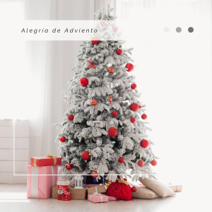 收聽Christmas Sound Effects的Ding Dong Merrily On High: Under the Christmas Tree歌詞歌曲