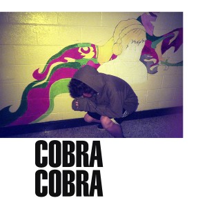 c0bra的專輯Cobra
