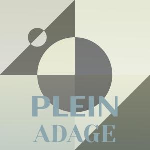 Listen to Plein Adage song with lyrics from Zaio Hanss