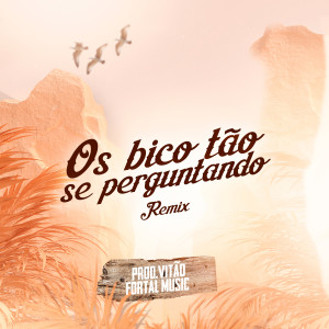 收听Prod.Vitao的Os Bico Tão Se Perguntando (Remix)歌词歌曲