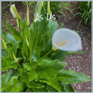 Dengarkan Jorge lagu dari Eret Roson dengan lirik