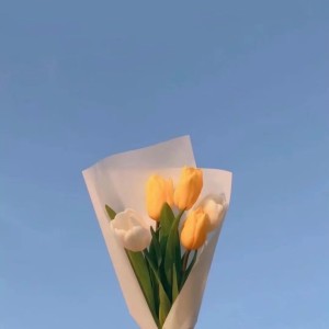 Album 我已不是你最爱的人 from 疯晓沫
