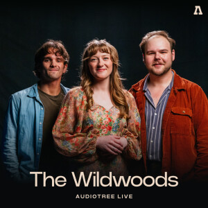 收听The Wildwoods的I Will Follow You to Willow (Audiotree Live Version)歌词歌曲