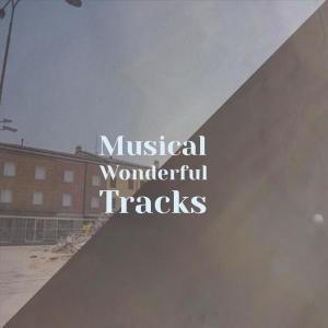 Album Musical Wonderful Tracks from 